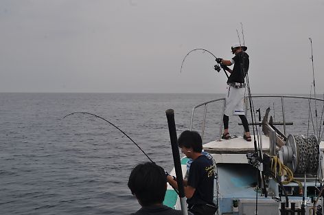 t_DSC_3183