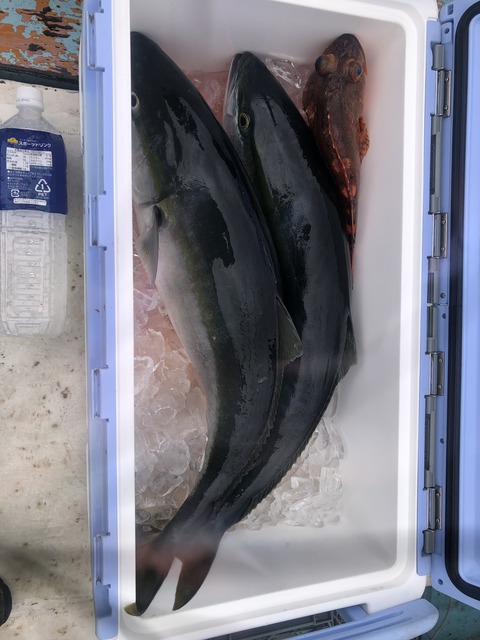 B68D3B9C-5754-4B71-9891-49B8B2F89B05