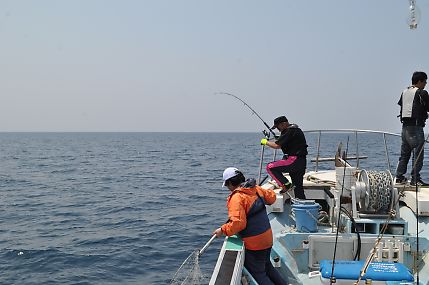 イメージ 9