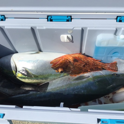 E6CD5E49-B96D-4FDF-AF55-F563A3D70D34