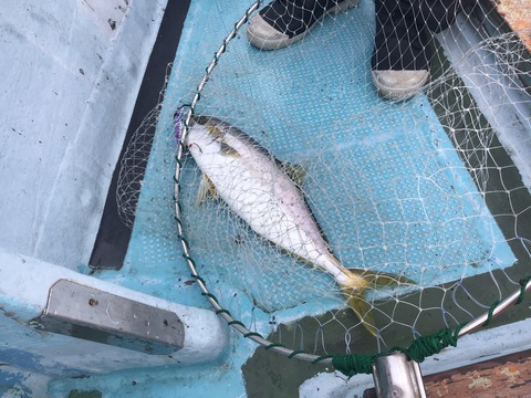 59A29CD5-6E1D-4B05-8D49-09DA234E3DC2