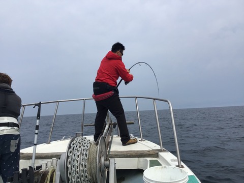 43BD2EBC-2830-4606-9ACC-F1AB92FE15AF