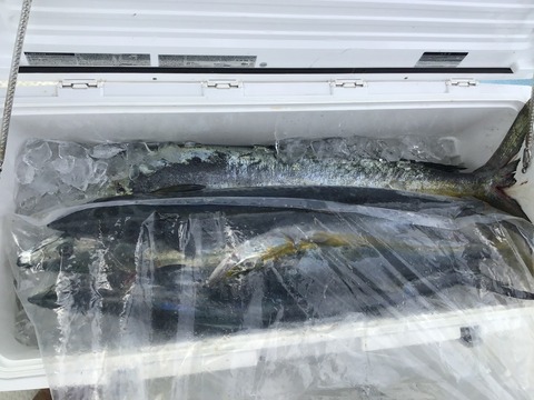 68C1537E-6936-4349-B07D-B8829EDC0A17