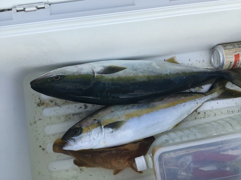 4686A8DE-0D70-4FE1-9680-60B18BA09AE3