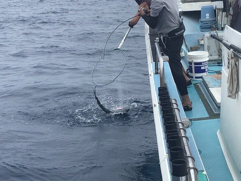 79D63301-F170-4BB5-BA83-E9BB4CCBCF41