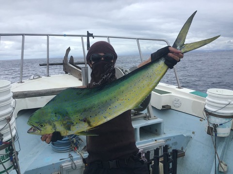 86A5D0D8-39AD-444A-9BD2-99C969505B2D