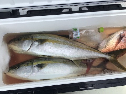 786E5CFA-C17C-4978-A1BD-8F9EFFA88D60