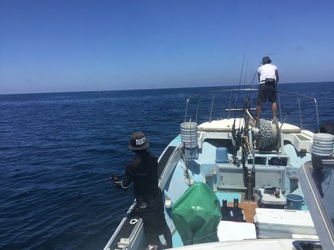 D67B501E-BF18-440F-AEC2-3F881722183A