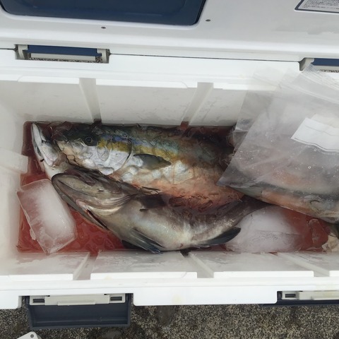 0922171D-F46C-458F-A1E6-3BE1ACE3B275