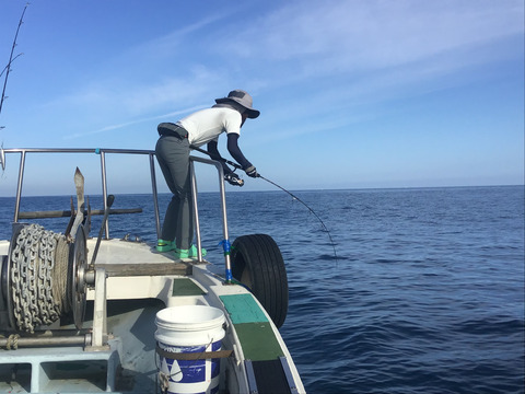 FD9CE4C5-13D1-4613-A00F-6FC8F1B63A12