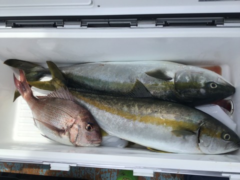 765EAC84-453F-442C-AC77-32E8AE085969