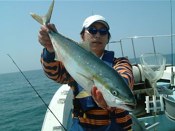 イメージ 1