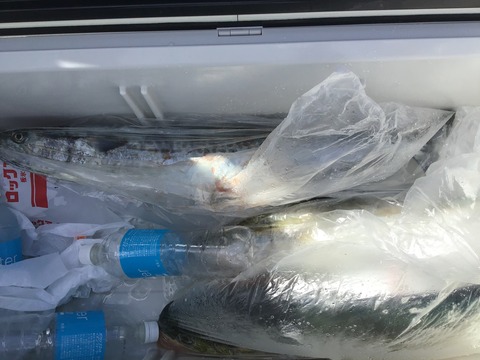 75FFA036-A6CB-4F47-B666-61D54096DB52