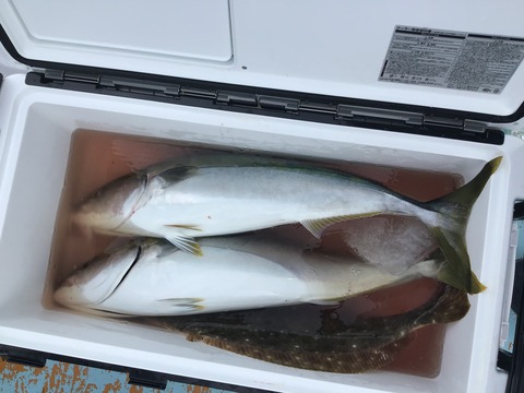 D414C768-B682-4124-BF10-37CECCDEFFD3