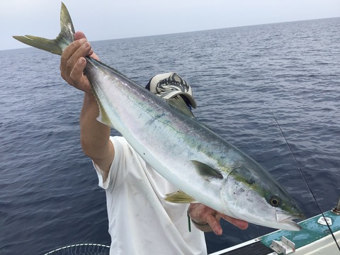 88EB99BF-738C-4D45-9EBF-264DD7981D42