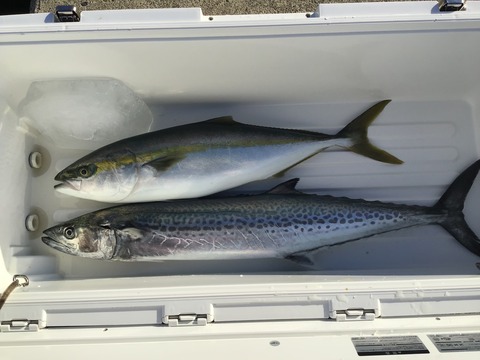 A294B2AC-4CDD-447F-8953-563A6404E6A1