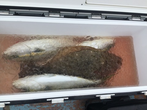 AA307FA1-C829-4D0B-BF55-2AAB356D2652