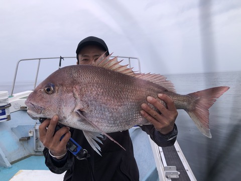 DB41CF0A-57BB-4C4B-A2D9-FD20C3D11E03