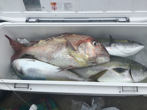 6AC42AAD-8D7F-4F71-A70C-1A09E1AD4D9D