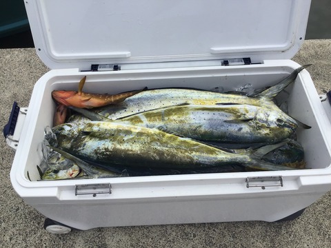 4342C3AD-20EF-42BF-98F3-B222533AC505