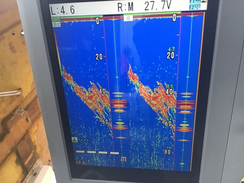 EFD31EA2-B986-454F-9238-C69E93FC95FB