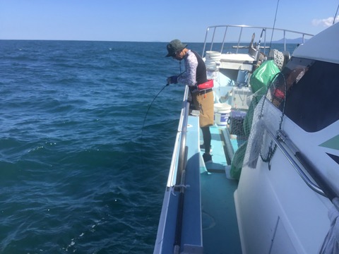 5F72DD16-FD7C-4DB4-87B5-0B9649BD7369