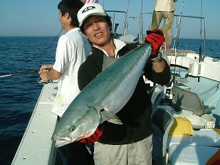 イメージ 5