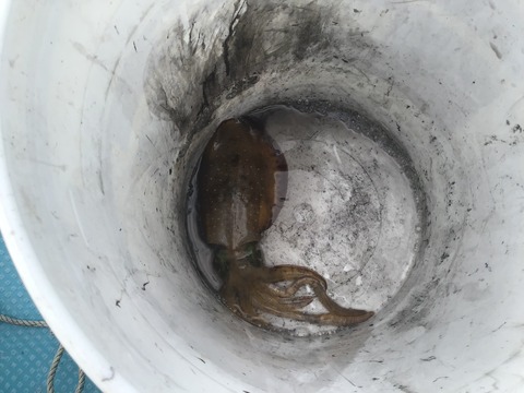 8383C43B-D846-4558-A0D4-496FAD354D24