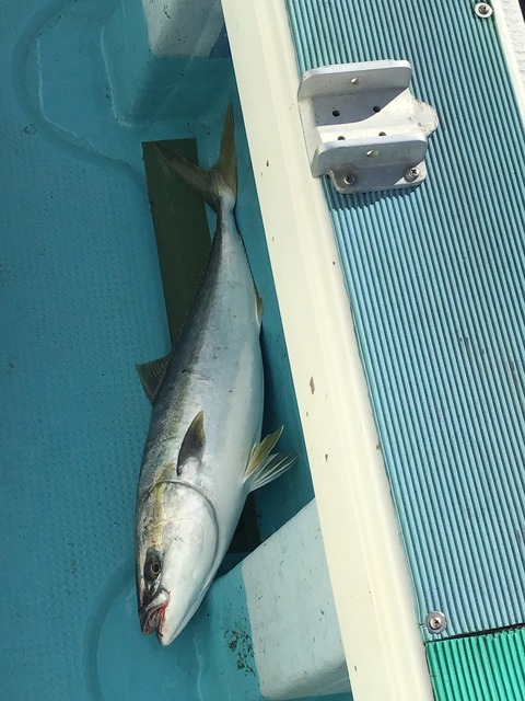 FC204743-9EBF-4D57-9916-2EB0825CABB1