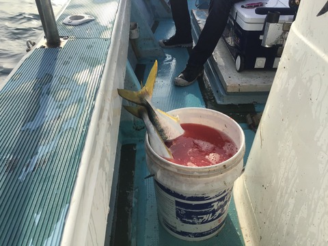 00DBF108-8DFD-4609-82F5-B004E3101422