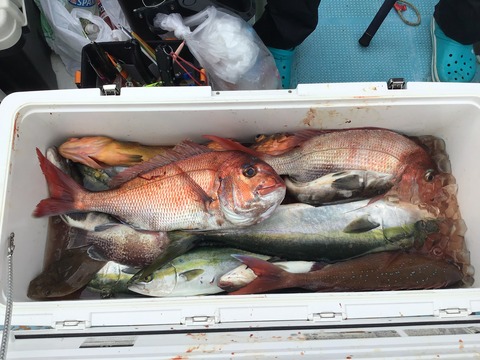 796071FF-33F3-453C-A42A-CC4E12F029BF