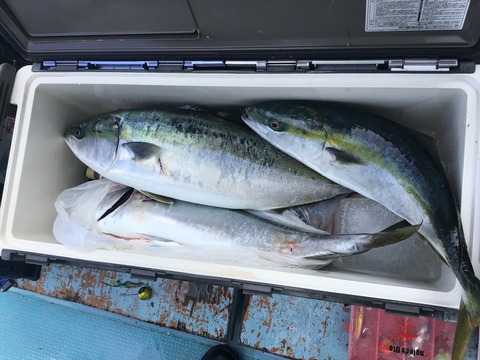 D1DE6769-73DF-4F8F-8CFE-7540563E68C0