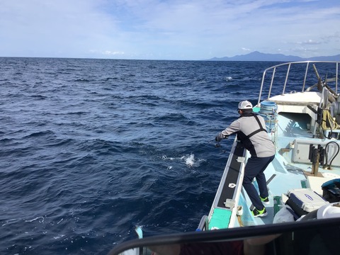 AA51DDCB-B87D-4D19-84C3-FBD3E86E5D8F