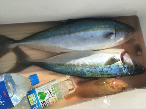 7E0F81D4-896E-46E0-9603-1224D3F67B93