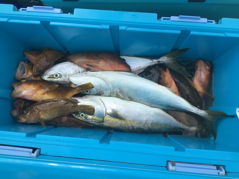 AB2A187B-93A3-4762-8380-C3478A9B60C8