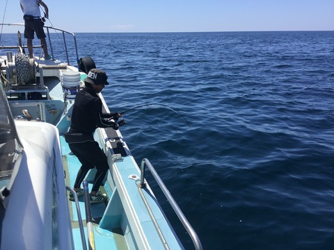 AE13ECD5-9FEC-474C-87DE-26FF78E47329