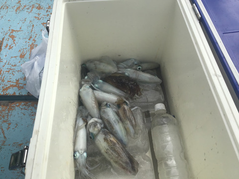 54DA5E1E-F7F7-4DF3-939E-8080DE4DC54C