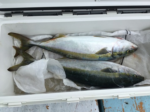 6BC74BCA-8056-454C-A765-ECDD08B09B89