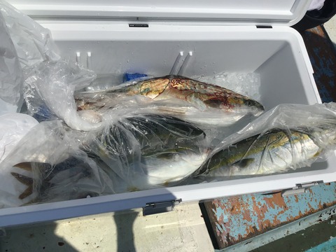 D01EBF57-D8D0-49B4-8356-1185384C8F79