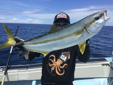 A44251C5-B2BD-47A5-8494-1A64F4075134