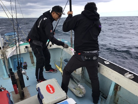 82F399B1-4253-4D03-A8C0-B85A6D7B7244