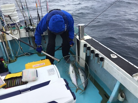 52B2C7AD-064E-41F9-B30E-EB601653A02F