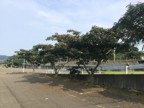 6BB2552E-744F-4F66-8C16-A1468169BCE9