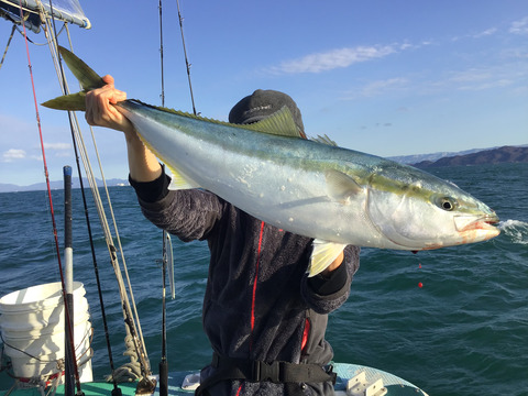 E9D748F0-D848-43EB-8FEF-9BA0AD9423A8