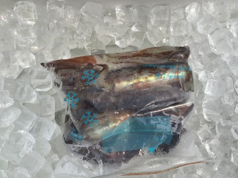 E6D6289B-497B-466A-940E-B45109B8CD3E