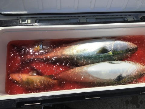 CC7F49B8-E853-4CD3-A064-37361A89BD04