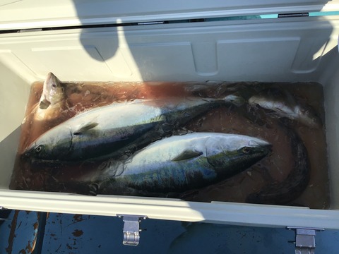 D3778F12-F8FE-4002-862C-B06EF212E78D