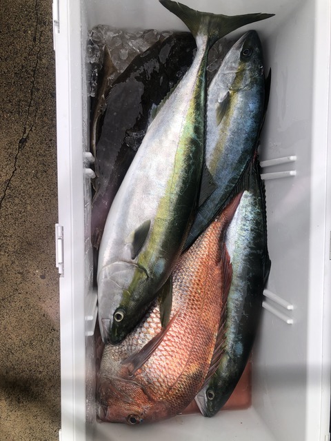 86C3A824-4323-424E-B811-D35A40204FBE