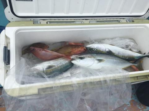 7CA99FB4-E874-4734-A2C0-77B685BE6ED0