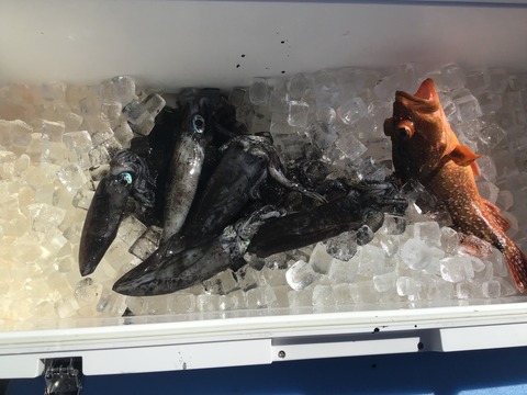 08C5A338-4393-4CE4-B74F-3F3827947371